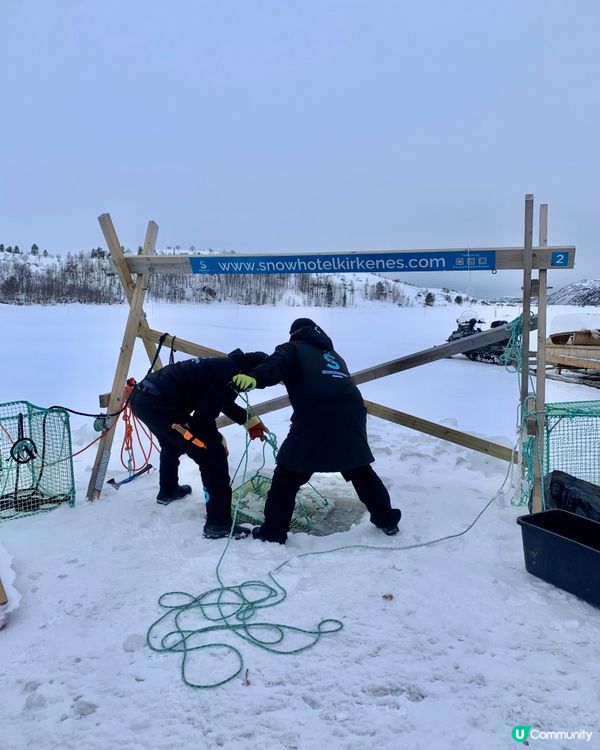 🇳🇴挪威捉帝王蟹之旅🦀 無限任食