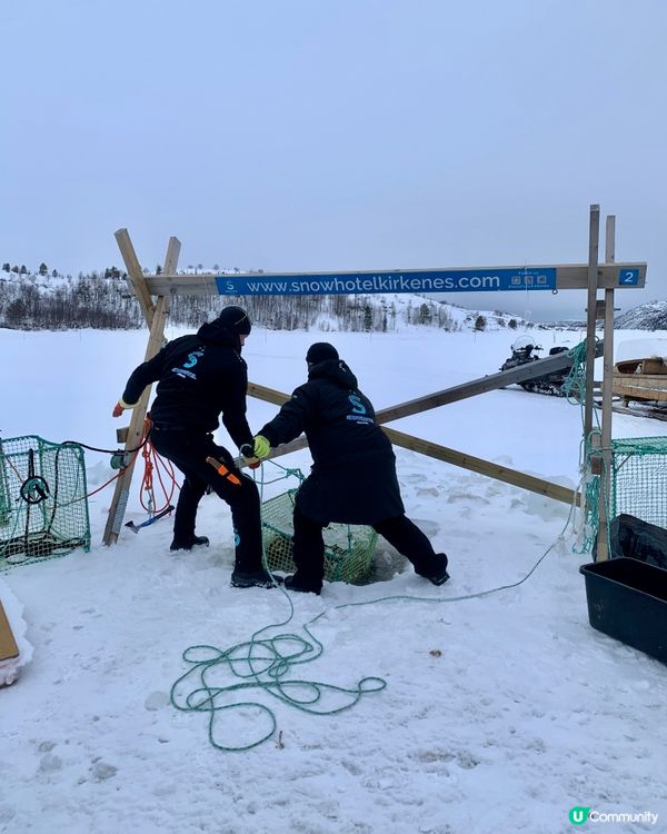 🇳🇴挪威捉帝王蟹之旅🦀 無限任食