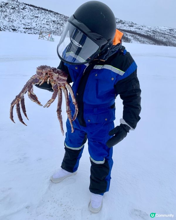 🇳🇴挪威捉帝王蟹之旅🦀 無限任食