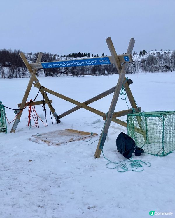 🇳🇴挪威捉帝王蟹之旅🦀 無限任食