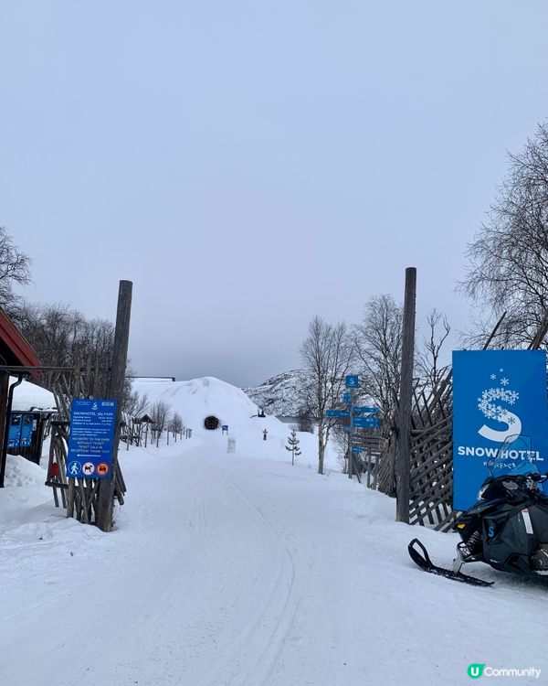 🇳🇴挪威捉帝王蟹之旅🦀 無限任食