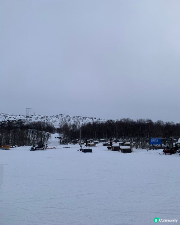 🇳🇴挪威捉帝王蟹之旅🦀 無限任食