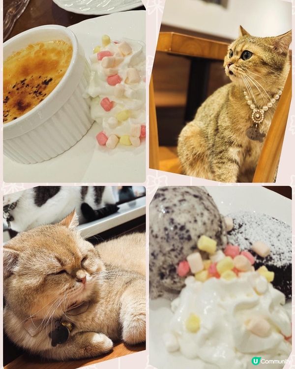 旺角➡️➡️➡️URBAN Cafe