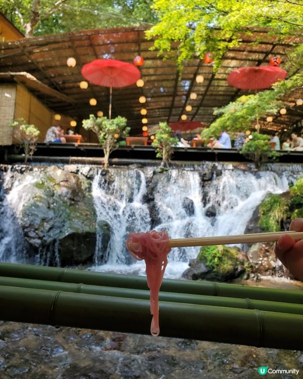 貴船流水麵體驗🍜 人生點都要試一次