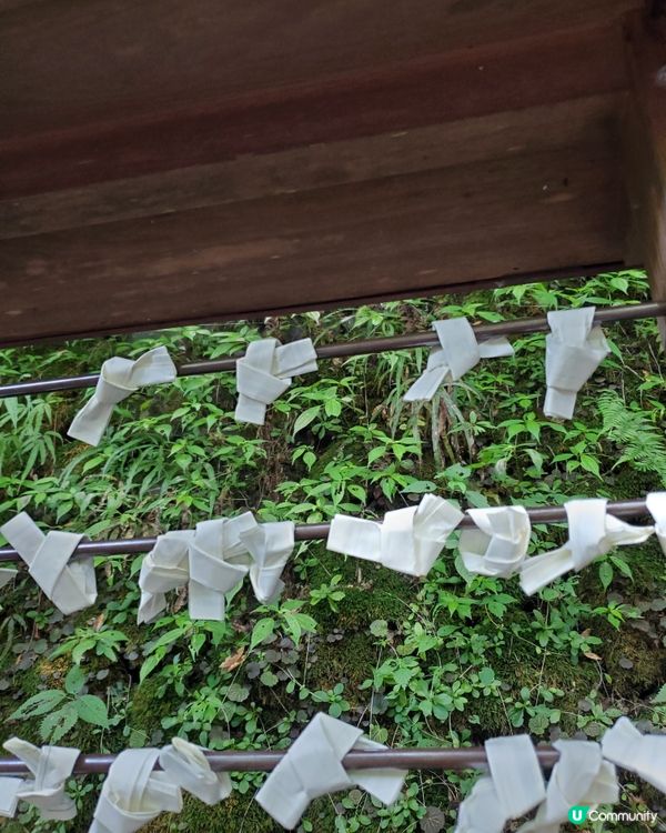 貴船流水麵體驗🍜 人生點都要試一次