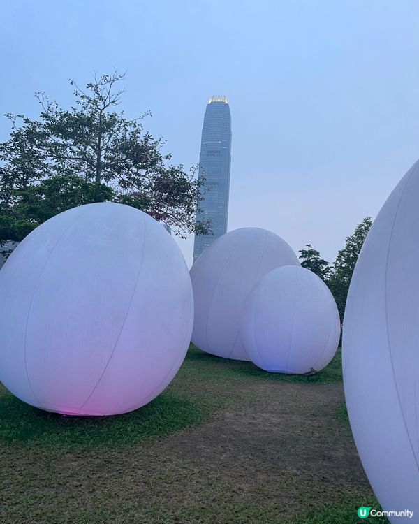 打卡「香港teamLab 光漣」