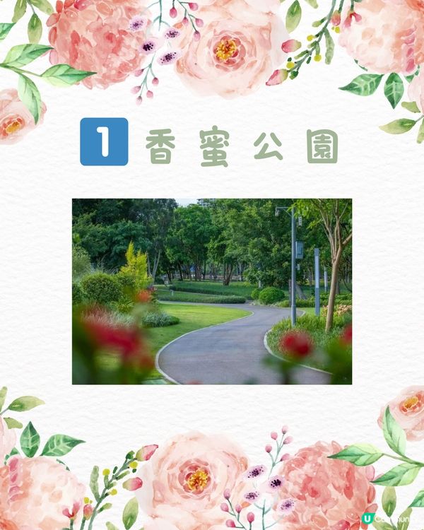 🌻深圳初夏賞花合集🆓免費免預約🚇地鐵直達