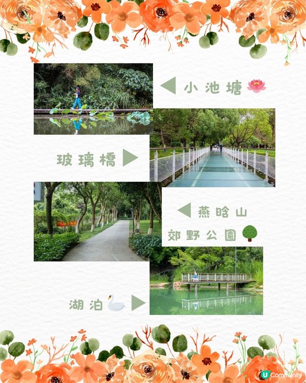 🌻深圳初夏賞花合集🆓免費免預約🚇地鐵直達