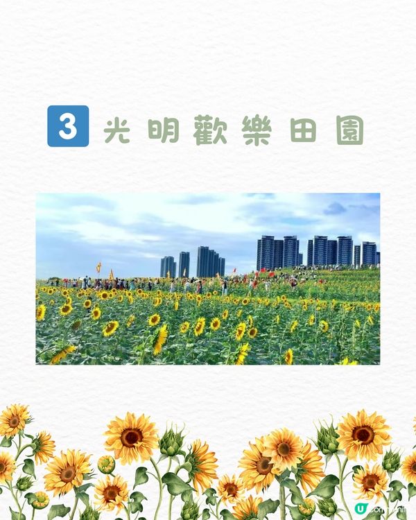🌻深圳初夏賞花合集🆓免費免預約🚇地鐵直達