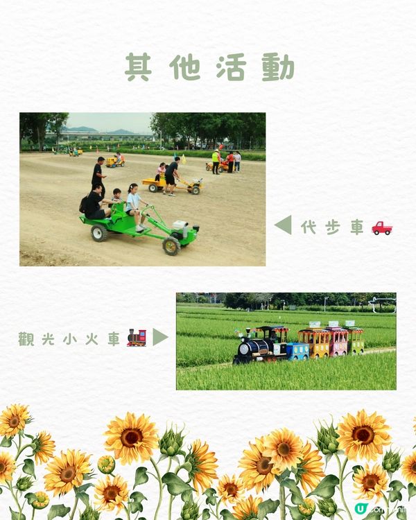 🌻深圳初夏賞花合集🆓免費免預約🚇地鐵直達