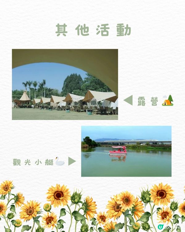 🌻深圳初夏賞花合集🆓免費免預約🚇地鐵直達