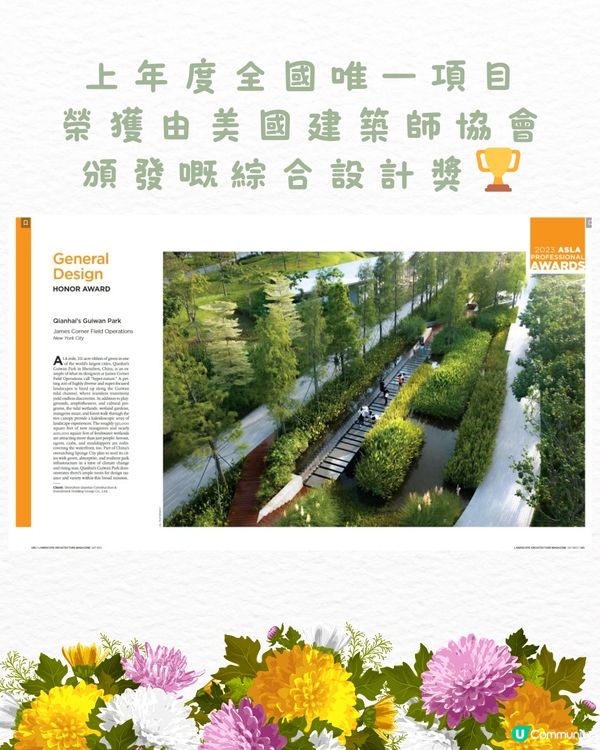 🌻深圳初夏賞花合集🆓免費免預約🚇地鐵直達