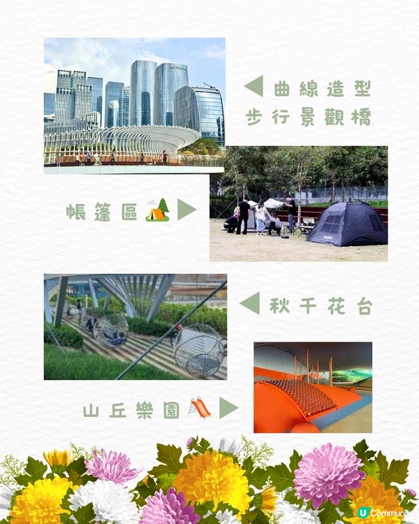 🌻深圳初夏賞花合集🆓免費免預約🚇地鐵直達