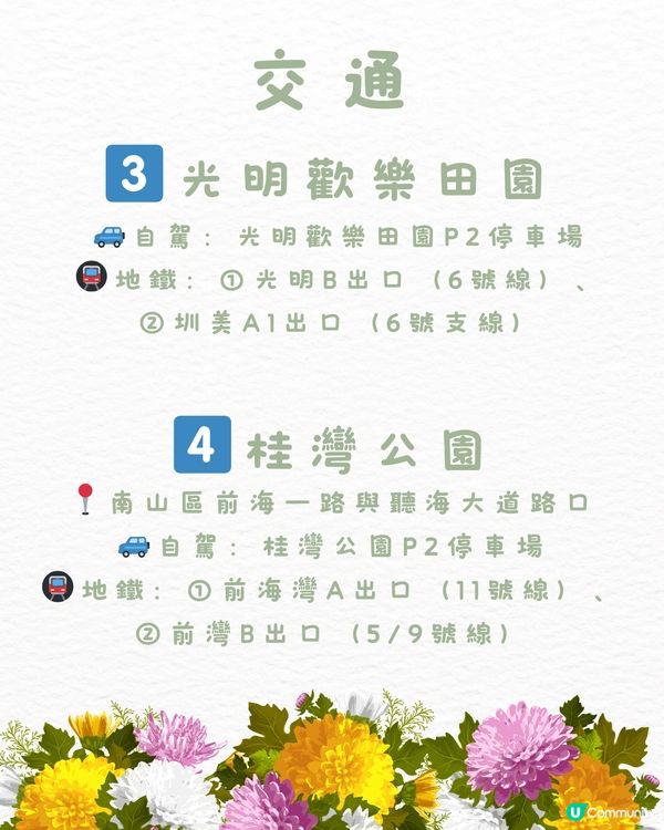 🌻深圳初夏賞花合集🆓免費免預約🚇地鐵直達