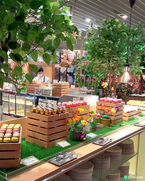 暴食海鮮自助餐！