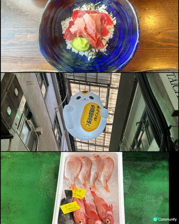 實現海鮮自由，名古屋柳橋中央市場