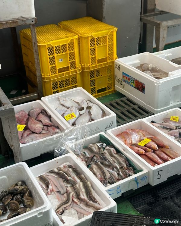 實現海鮮自由，名古屋柳橋中央市場
