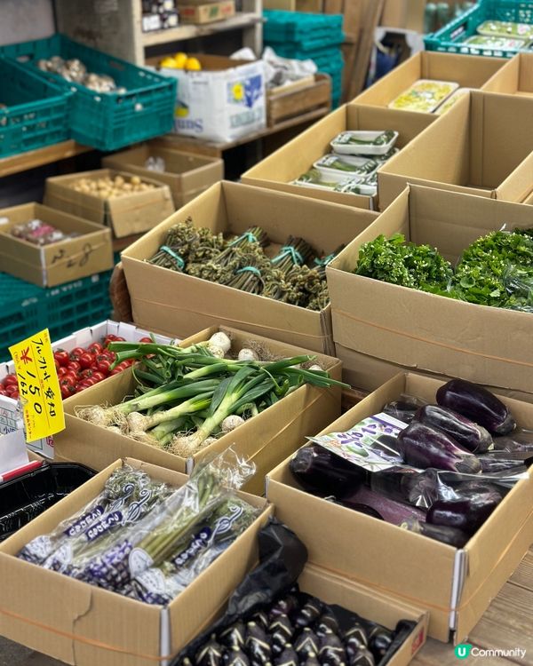 實現海鮮自由，名古屋柳橋中央市場