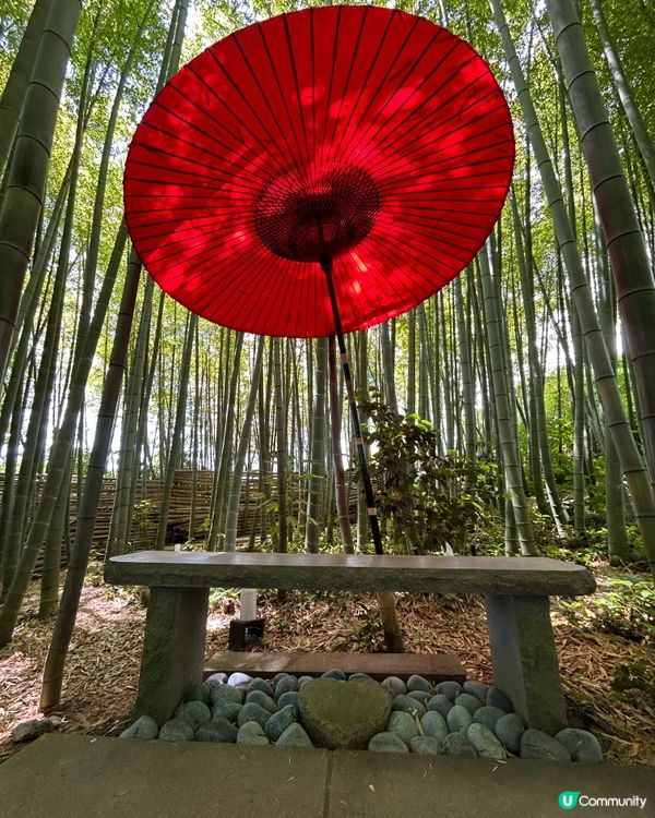 紫陽花秘境-藍色花海雲昌寺