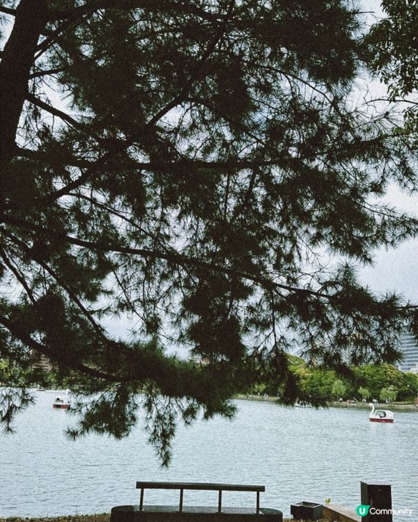 九洲福岡行程必到大濠公園!