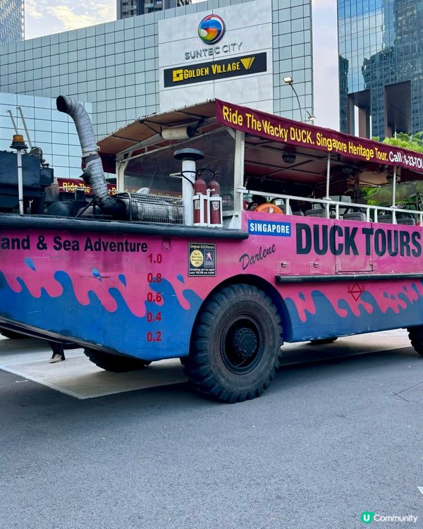 船車二合一的𝐁𝐈𝐆 𝐁𝐔𝐒 & 𝐃𝐔𝐂𝐊! 