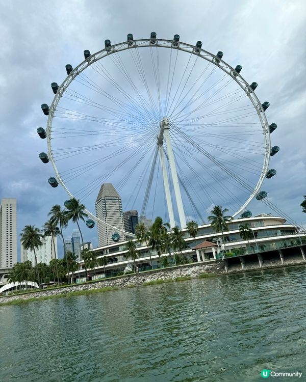 船車二合一的𝐁𝐈𝐆 𝐁𝐔𝐒 & 𝐃𝐔𝐂𝐊! 