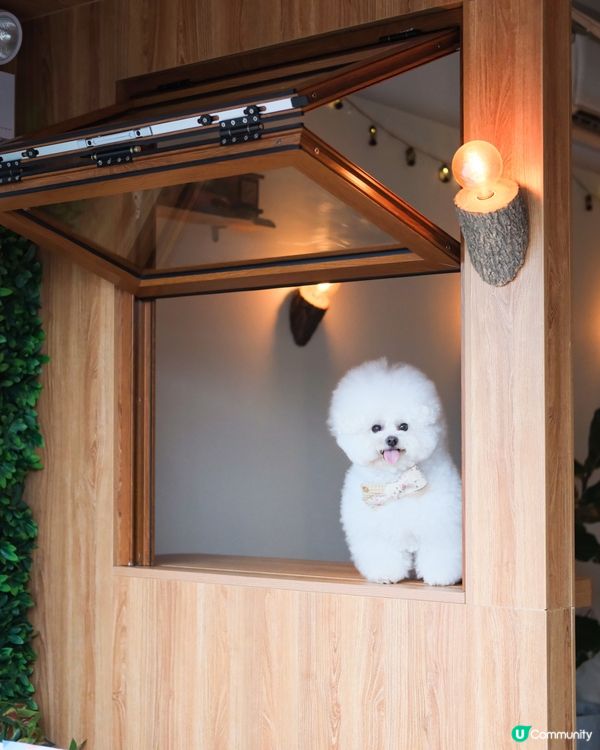 同街坊第一次正式約會💌