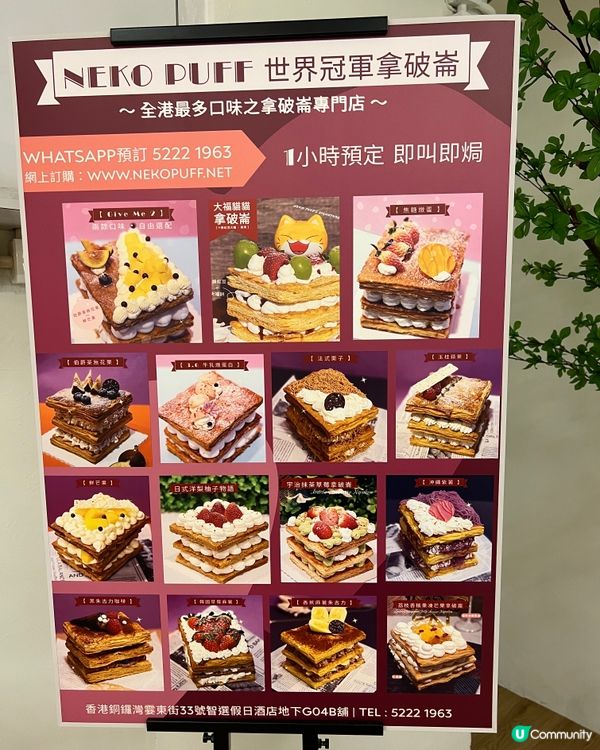 世界冠軍拿破崙