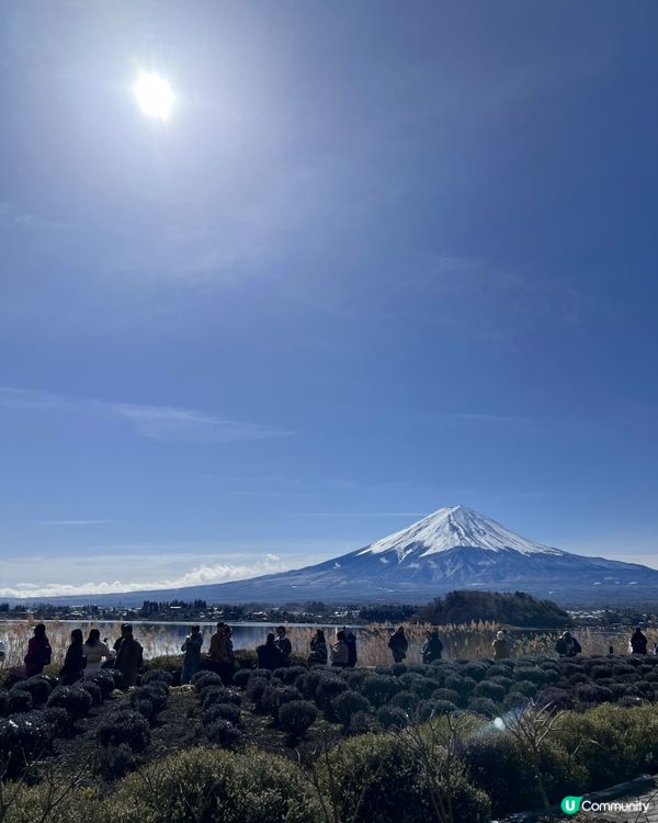 聽說見到富士山就會有運整年🎐