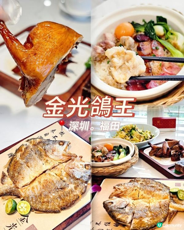 📍深圳必吃！養生。脆皮嫩滑～金光鴿王🍖 