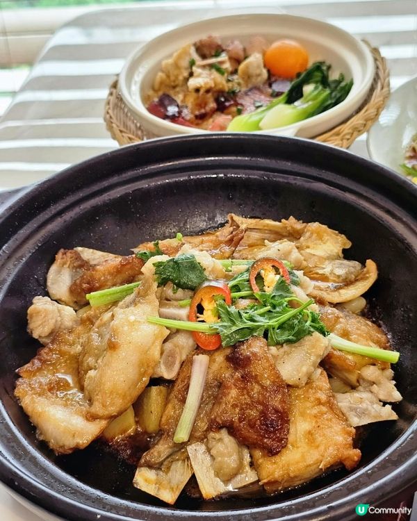 📍深圳必吃！養生。脆皮嫩滑～金光鴿王🍖 