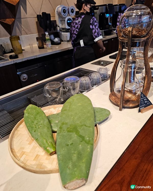 功夫咖 仙人掌甘露