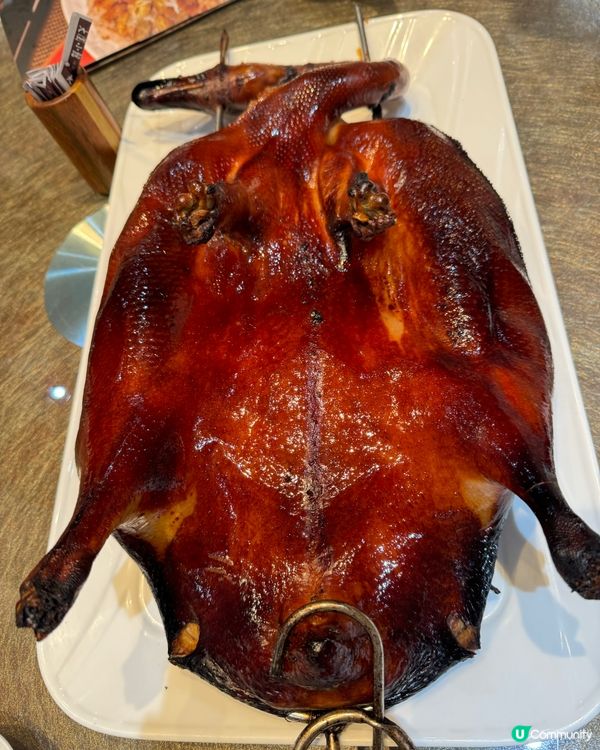 大圍小館必食琵琶鵝