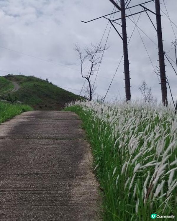 上水行山～華山軍路