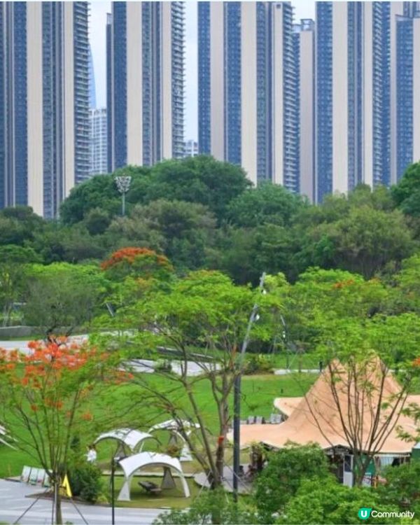 深圳筆架山體育公園🏀有機會撞到彭于晏？