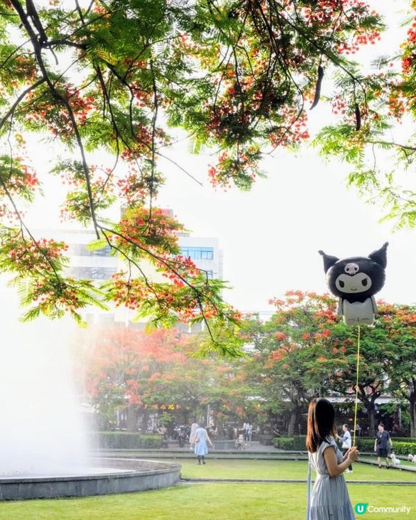 【深圳】火紅五月．鳳凰花開．華橋城生態廣場｜文迪．漫遊．慢生活｜