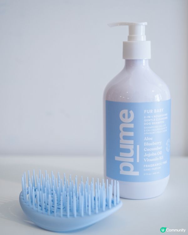 推介PLUME CARE⭐️人類級天然成份狗狗沖涼液及按摩梳