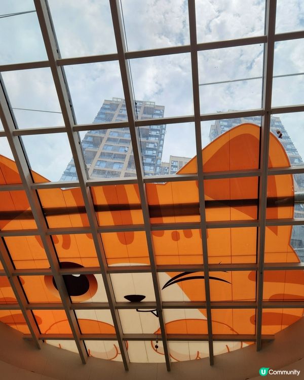 巨橘樂園