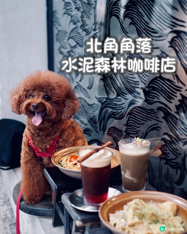 想不到在北角有一間咁chill 嘅咖啡店！ 座落錦屏街的一個...