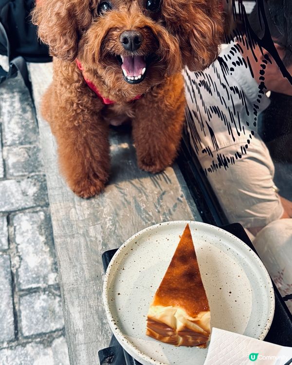 想不到在北角有一間咁chill 嘅咖啡店！ 座落錦屏街的一個...