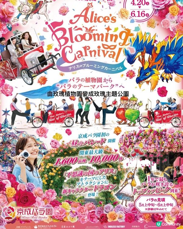 Alice Blooming Carnival @京成玫瑰園