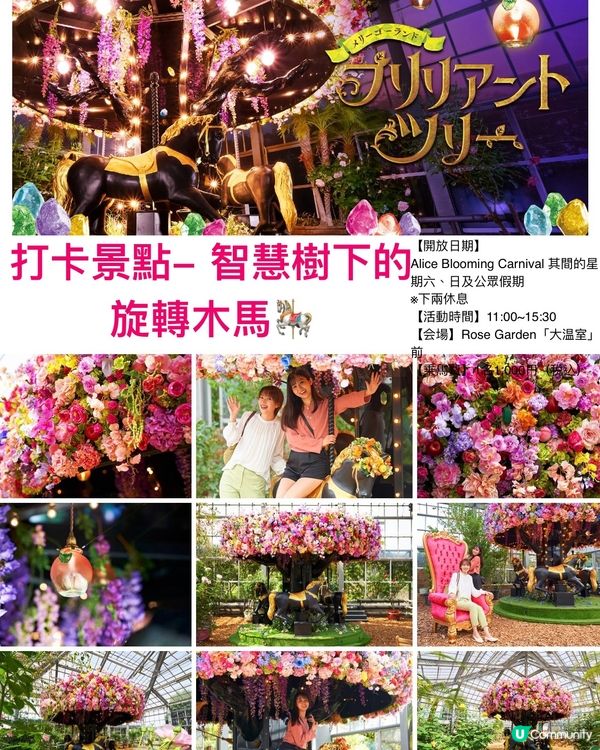 Alice Blooming Carnival @京成玫瑰園