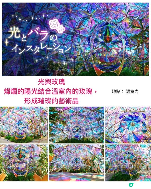 Alice Blooming Carnival @京成玫瑰園