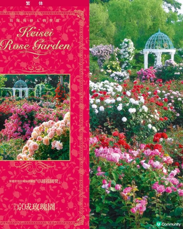 Alice Blooming Carnival @京成玫瑰園