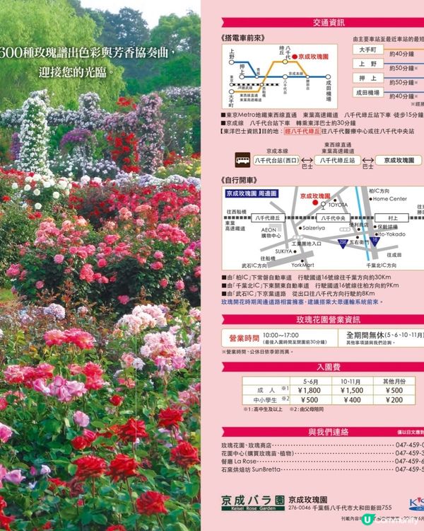 Alice Blooming Carnival @京成玫瑰園