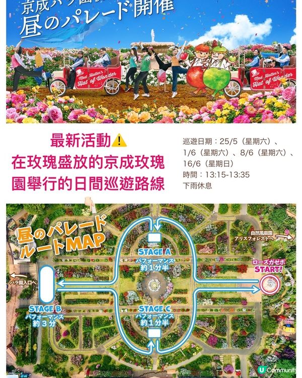 Alice Blooming Carnival @京成玫瑰園