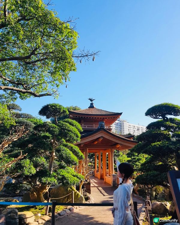 香港小京都⛩️必去景地之一