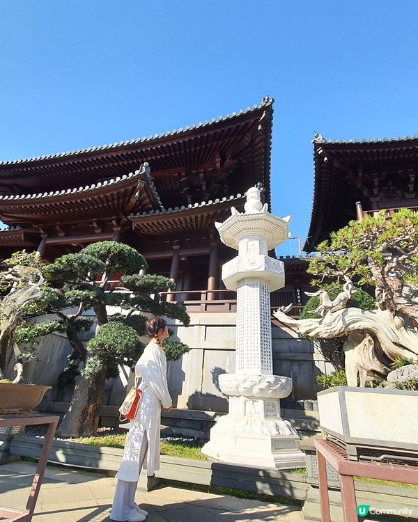 香港小京都⛩️必去景地之一