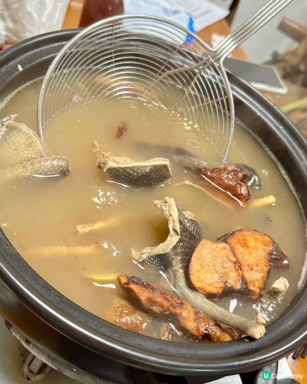 一鴿勝九雞👉🏻👉🏻👉🏻福苓鴿王