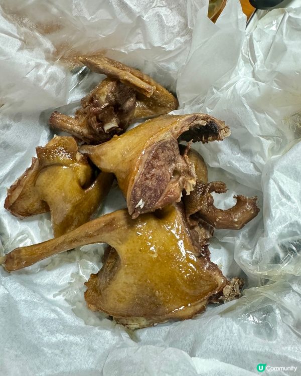 一鴿勝九雞👉🏻👉🏻👉🏻福苓鴿王